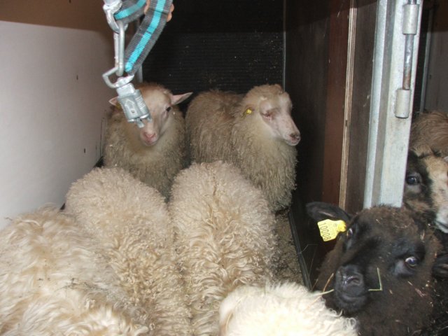 dscf6360.jpg