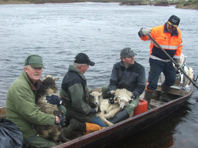 dscf6363.jpg