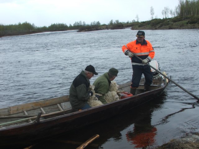 dscf6368.jpg