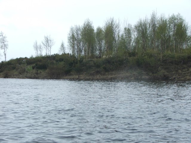 dscf6374.jpg