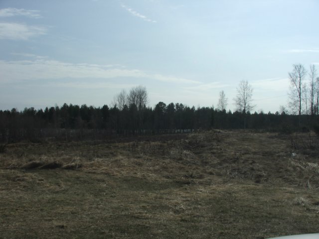 dscf6194.jpg
