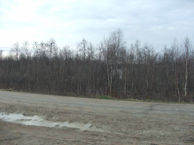 dscf6249.jpg
